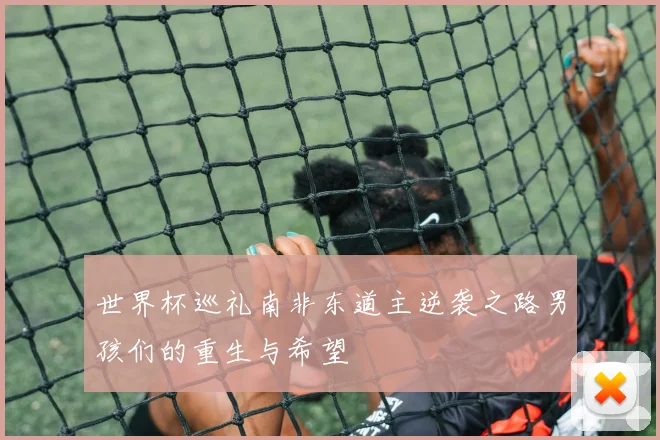 世界杯巡礼南非东道主逆袭之路男孩们的重生与希望