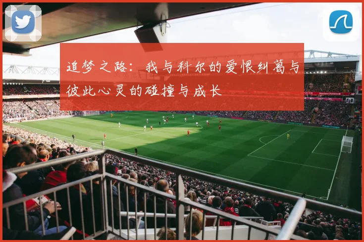 追梦之路：我与科尔的爱恨纠葛与彼此心灵的碰撞与成长